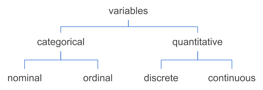 Further classification of variables