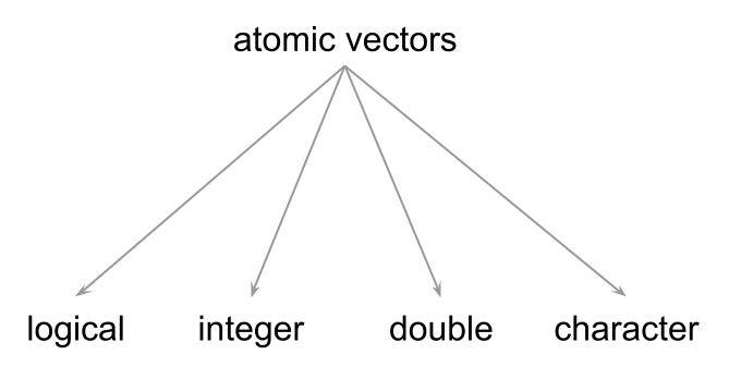 Common data types of atomic vectors.