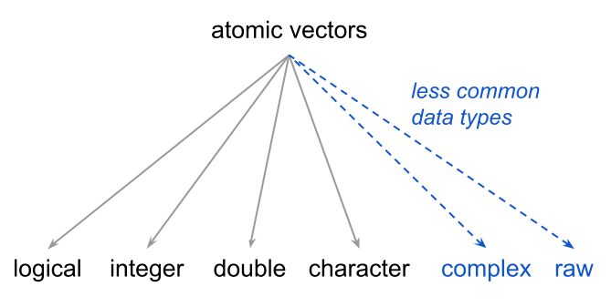 The 4 most common, and 2 less common, data types of atomic vectors.