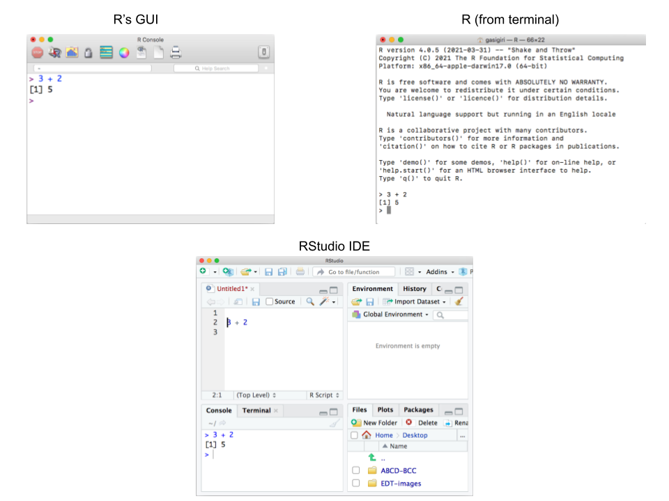Interacting with R in various ways: R's GUI, RStudio, and R from a command-line terminal