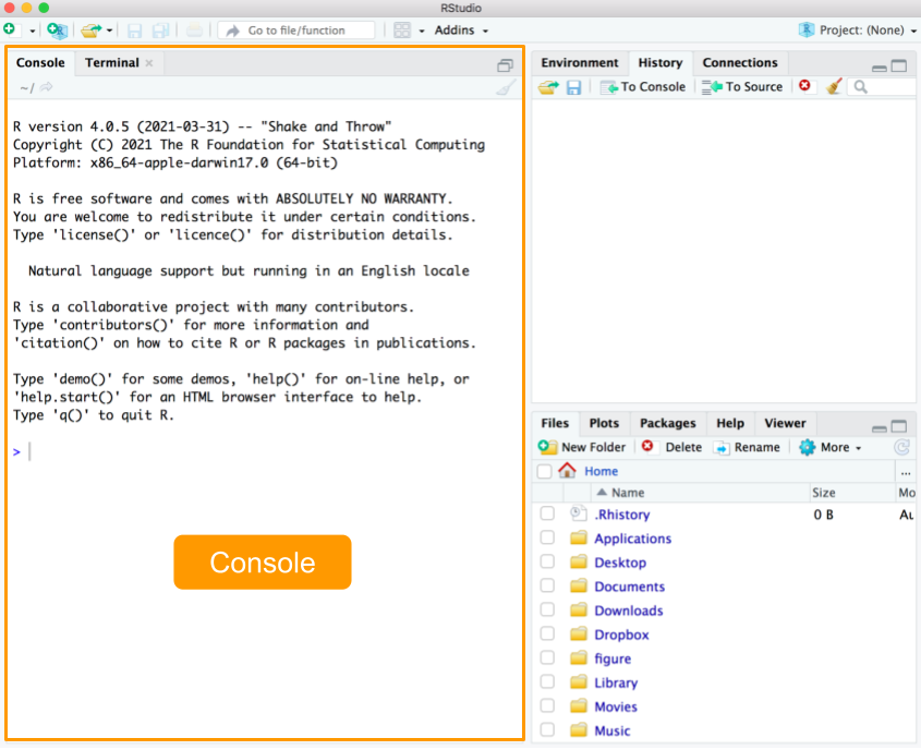 Console quadrant in RStudio.