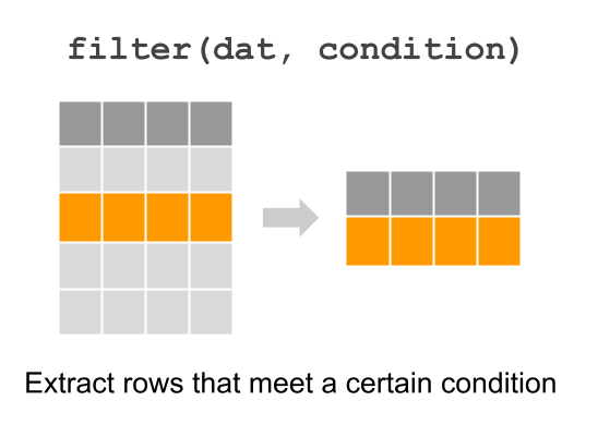 Extracting certain rows with dplyr function "filter"