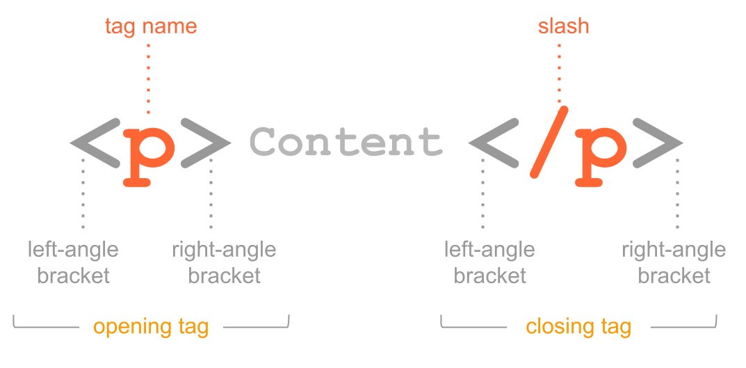 Anatomy of html elements