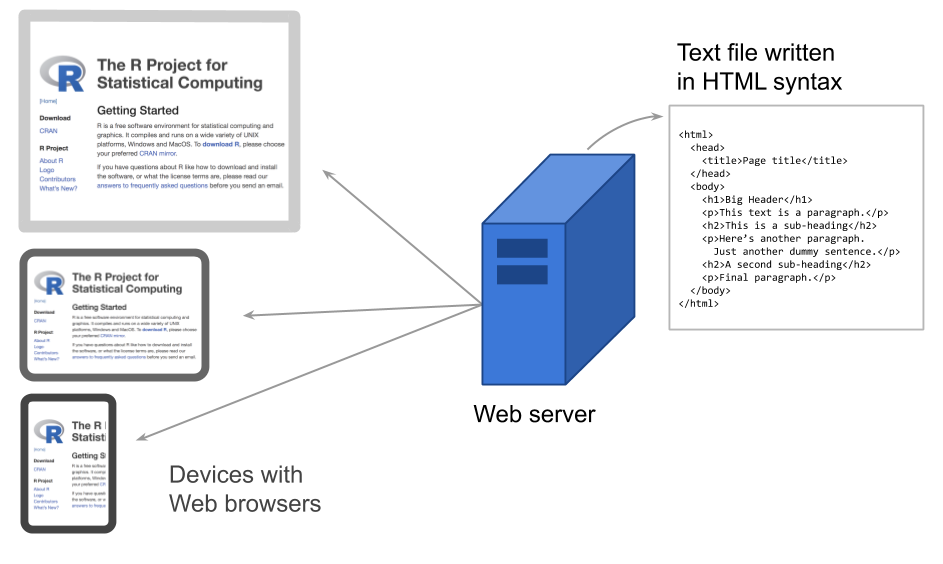 HTML files are the building blocks of web pages