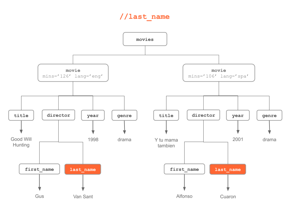 "last name" nodes anywhere in the XML tree