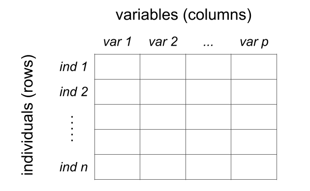 Conceptual table of individuals and variables