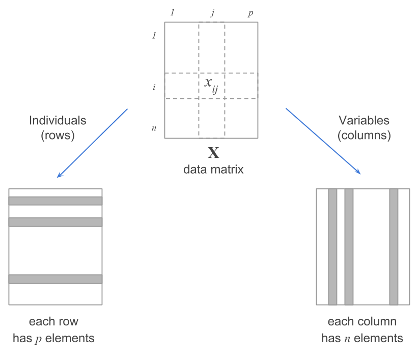 Duality of a data matrix