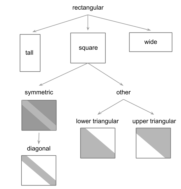 Various shapes of matrices