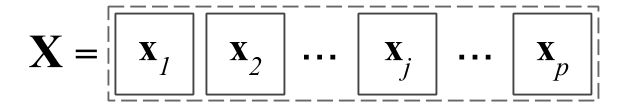 Variables in a matrix depicted as a set of rectangles